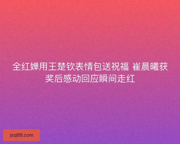 全红婵用王楚钦表情包送祝福 崔晨曦获奖后感动回应瞬间走红