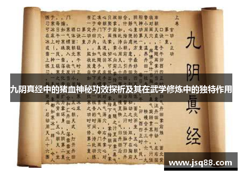 九阴真经中的猪血神秘功效探析及其在武学修炼中的独特作用