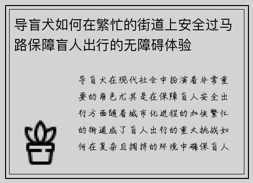 导盲犬如何在繁忙的街道上安全过马路保障盲人出行的无障碍体验